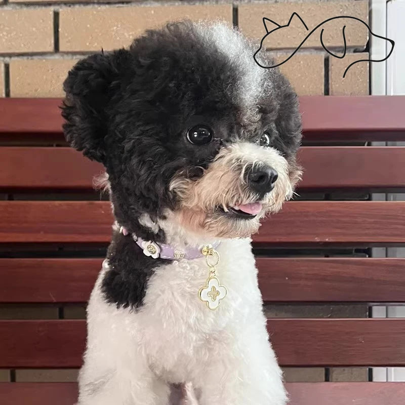 OF.STUDIOS Small Flower Studded Leather Pet Collar – Cute Spike Dog & Cat Neck Collar