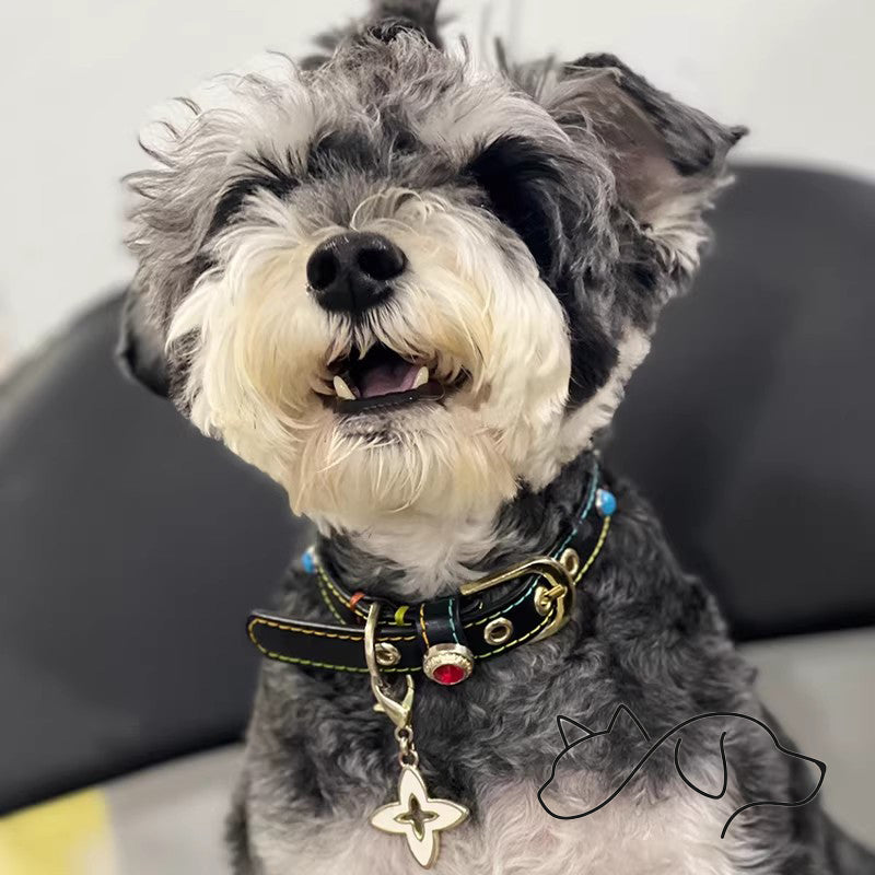 OF.STUDIOS Genuine Leather Dog & Cat Collar – Turquoise Rivet Studded Collar with Flower Buckle