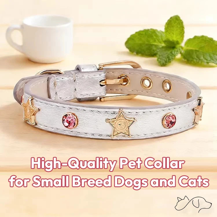 OF.STUDIOS Star Crystal Embellished Leather Pet Collar – Premium Czech Rhinestone Collar for Dogs & Cats