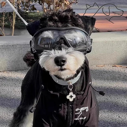 OF.STUDIOS Small Flower Studded Leather Pet Collar – Cute Spike Dog & Cat Neck Collar