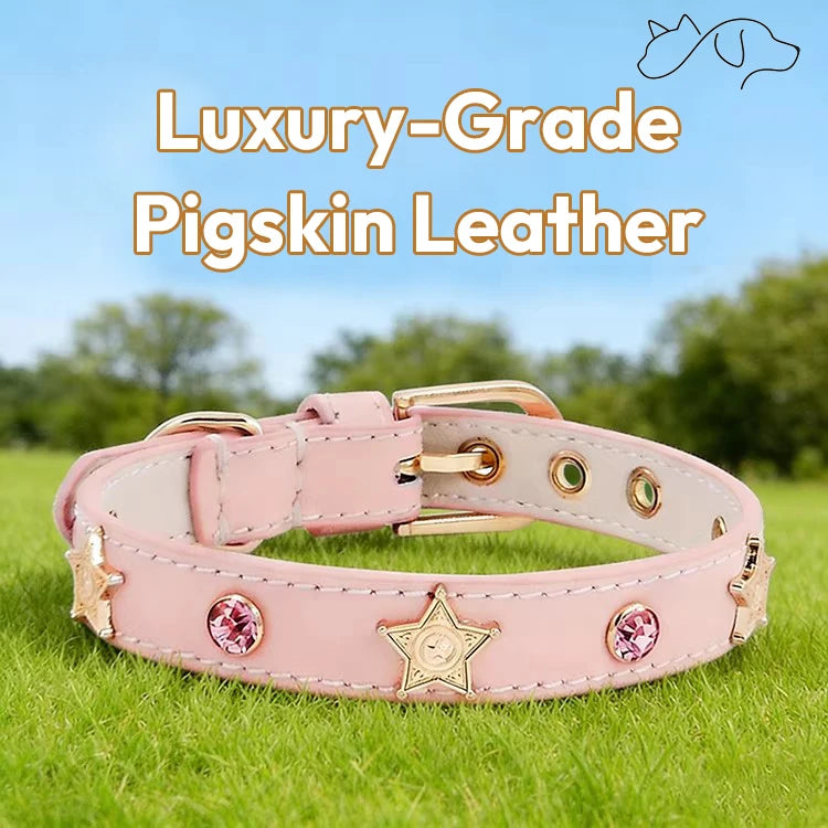 OF.STUDIOS Star Crystal Embellished Leather Pet Collar – Premium Czech Rhinestone Collar for Dogs & Cats