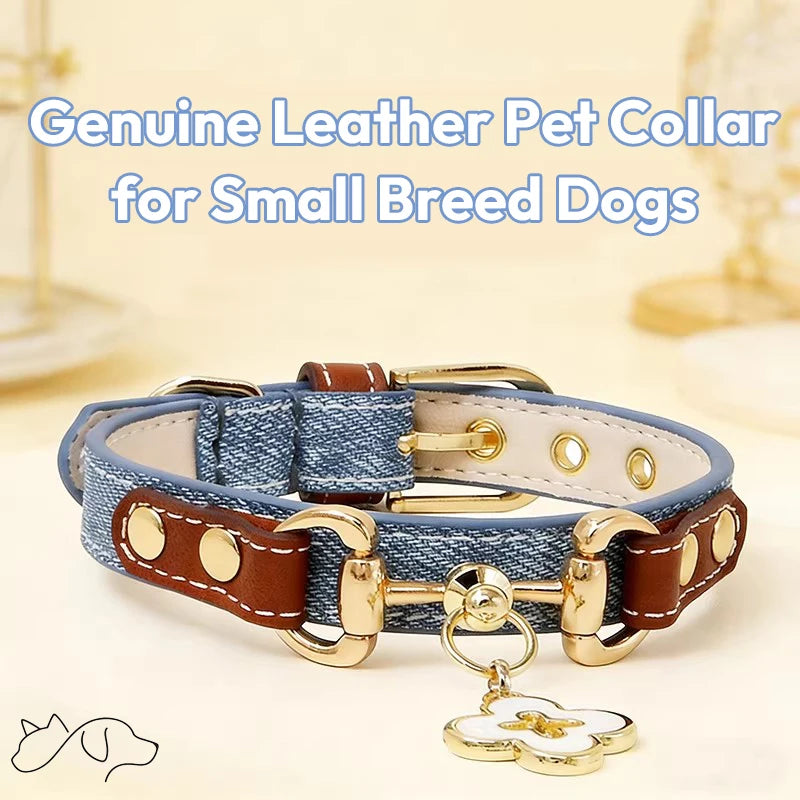 OF.STUDIOS Litchi Grain Leather Pet Collar with Denim Texture for Small Dogs & Cats
