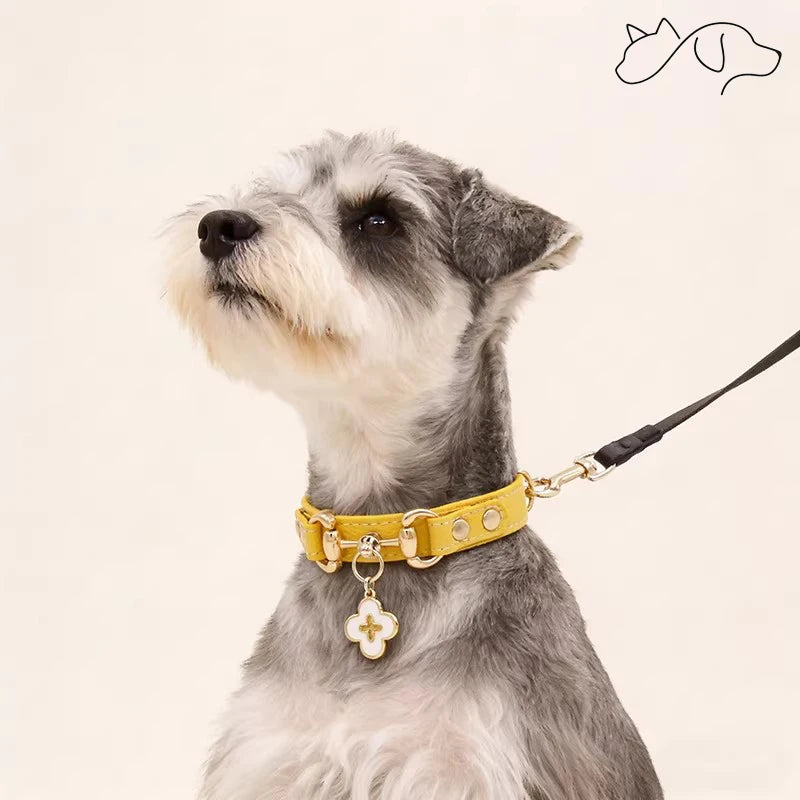 OF.STUDIOS Litchi Grain Leather Pet Collar with Denim Texture for Small Dogs & Cats