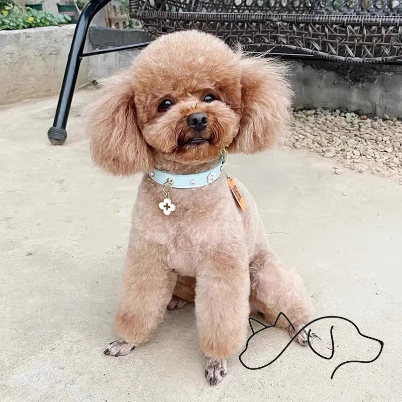 OF.STUDIOS Small Flower Studded Leather Pet Collar – Cute Spike Dog & Cat Neck Collar