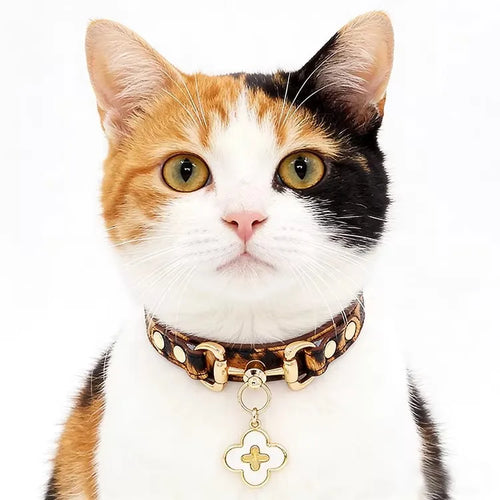 OF.STUDIOS Litchi Grain Leather Pet Collar with Denim Texture for Small Dogs & Cats