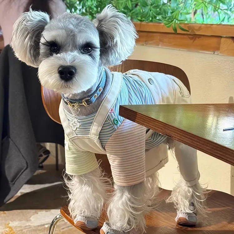 OF.STUDIOS Litchi Grain Leather Pet Collar with Denim Texture for Small Dogs & Cats